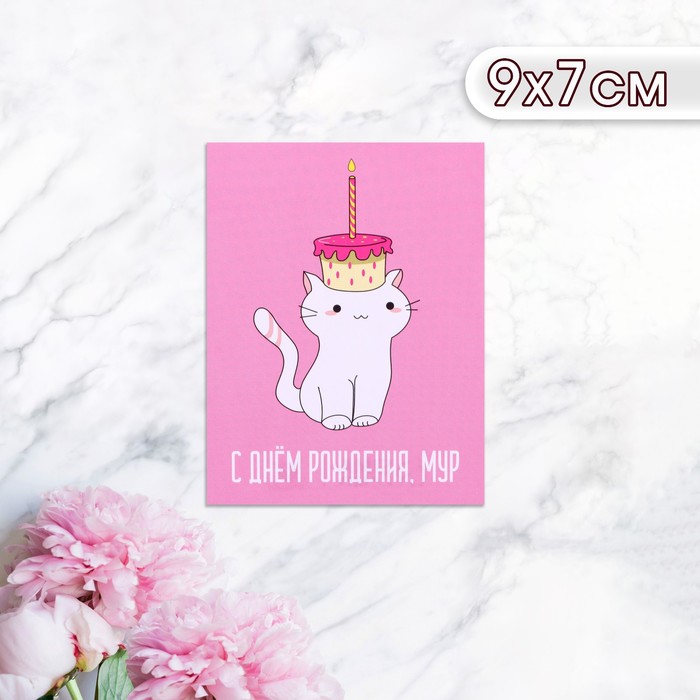 Мини-открытка С Днём Рождения! Мур! котик с тортиком, 9 х 7 см