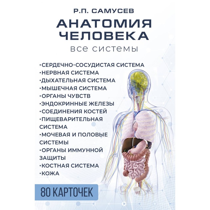 

Анатомия человека. 80 карточек. Все системы. Самусев Р.П.