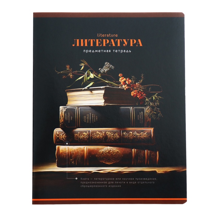 

Тетрадь предметная "Фотосфера", 48 листов в линейку, "Литература", обложка мелованный картон, ВД-лак
