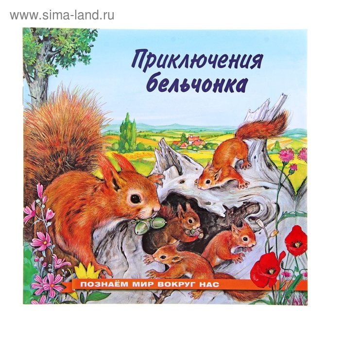«Приключения бельчонка», Гурина И. В. приключения совы и её друзей гурина и в