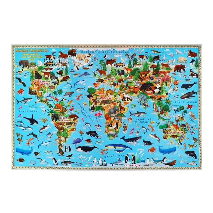 Карта настенная двусторонняя Наша планета. Животный и растительный мир, ГеоДом, 58х38 см