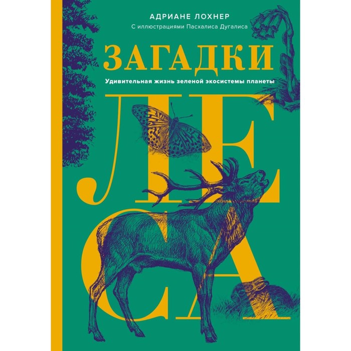 

Загадки леса. Удивительная жизнь зелёной экосистемы планеты. Лохнер А.