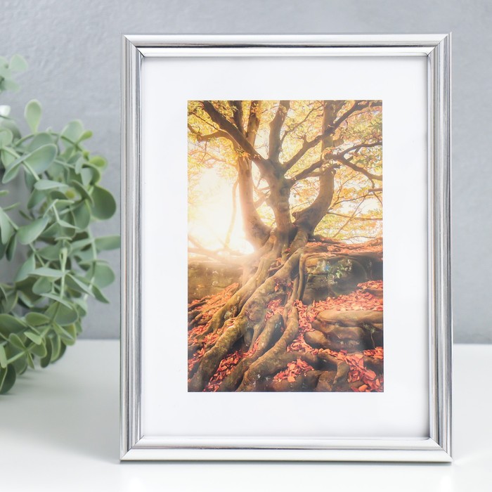 Фоторамка 15х20 см "Серебро"