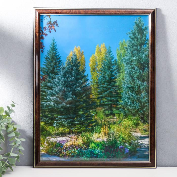 

Фоторамка 30х40 (282Р) темный орех с золотом (пластиковый экран)