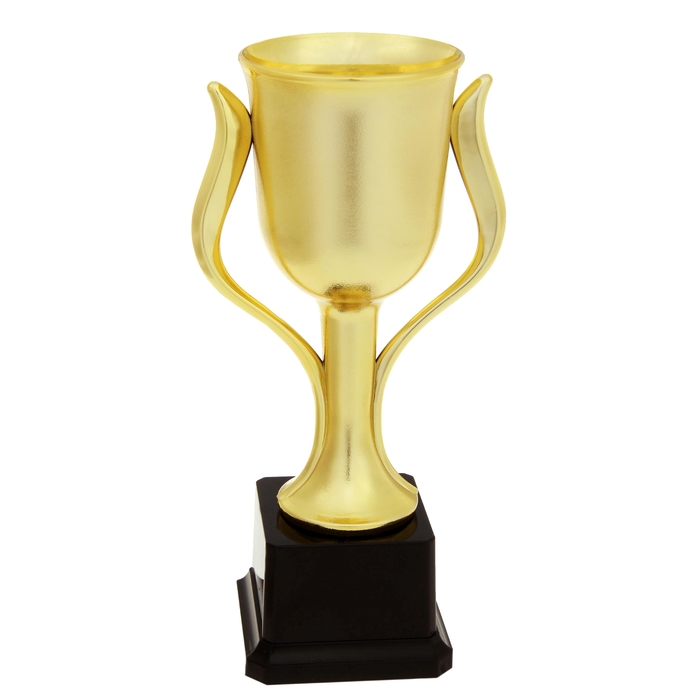 Кубок спортивный 023А. 26,5 см