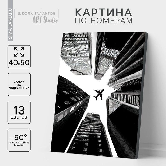 

Картина по номерам «Взлёт», на холсте с подрамником, 40 × 50 см