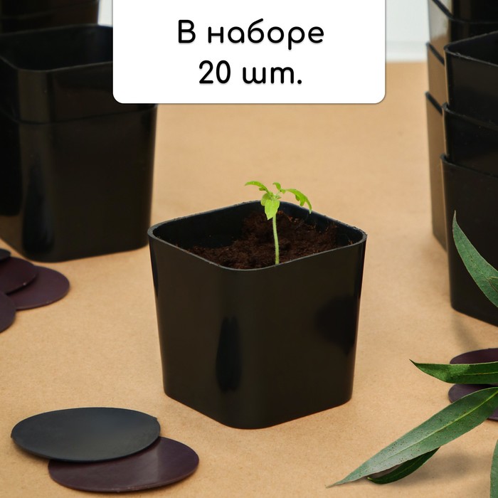 Набор для рассады: стаканы по 200 мл (6 шт.)