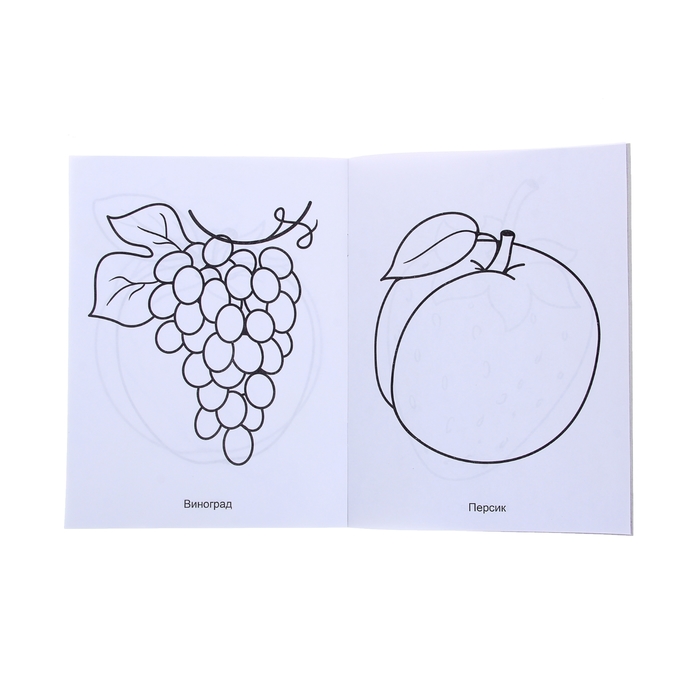 Раскраска А5 Моя раскраска. "Во саду ли, в огороде"