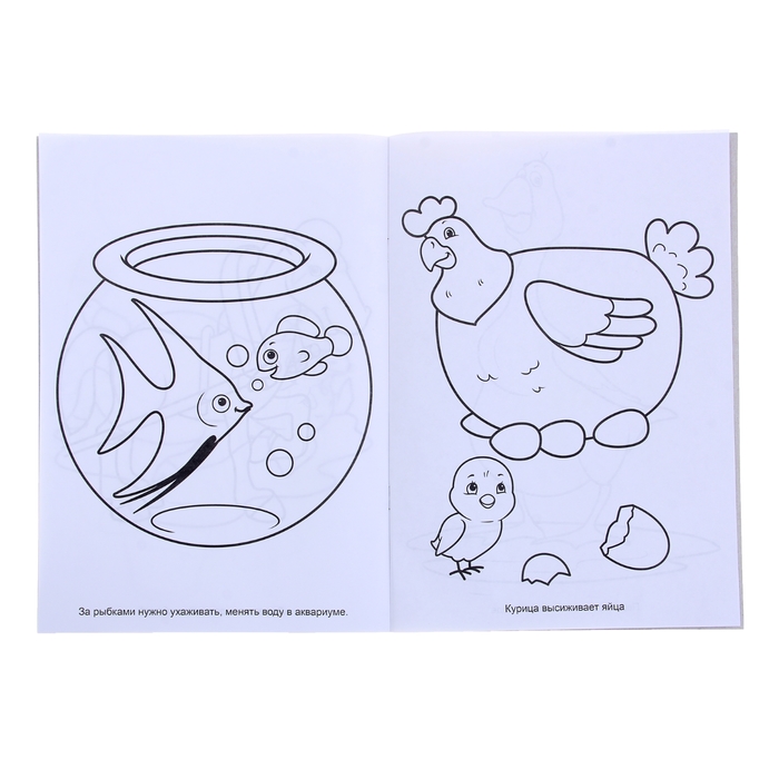 Раскраска. Для малышей. А4 "Домашние животные"