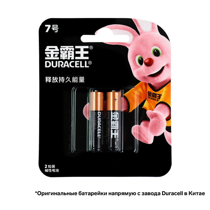 Батарейка алкалиновая Duracell Basic (CH), AAA, LR03-2BL, 1.5В, блистер, 2 шт. батарейка алкалиновая duracell lr03 mn2400 aaa 1 5v упаковка 2 шт lr03 mn2400 bl 2 6003 duracell арт lr03 mn2400 bl 2