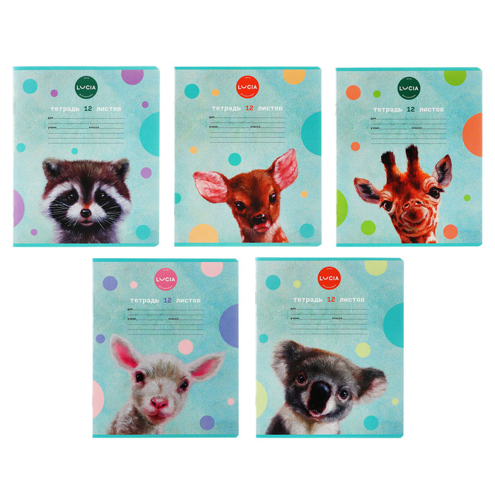 Тетрадь 12 листов в клетку Узнай себя обложка мелованный картон блок 65 гм2 МИКС 26₽