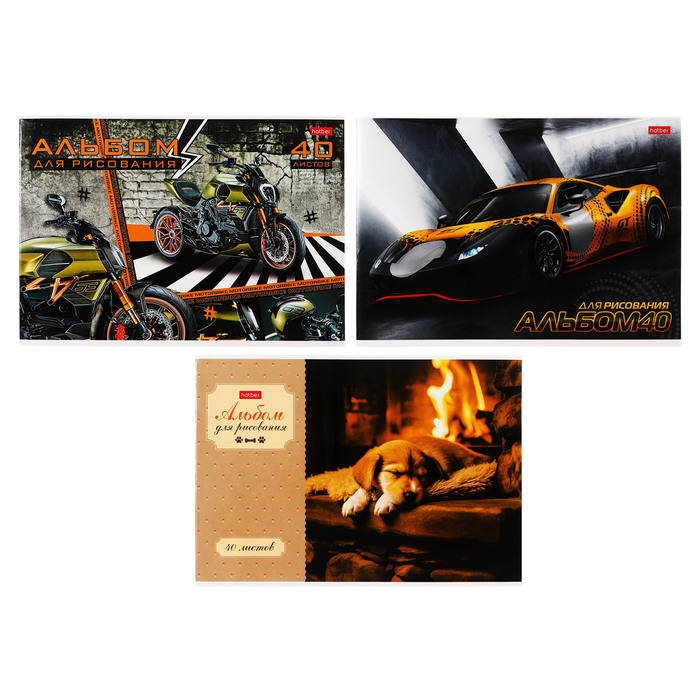 Альбом для рисования А4 40 листов на гребне Ассорти Выпуск 3 обложка мелованный картон блок 100 гм2 МИКС 95₽