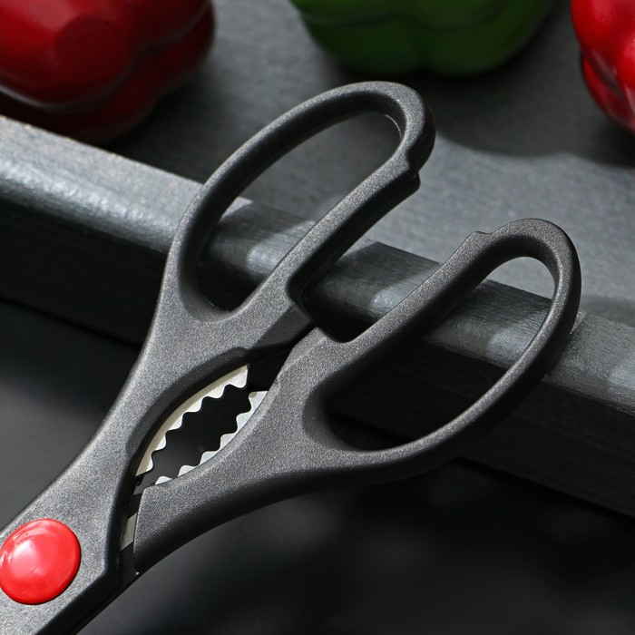 Ножницы кухонные Доляна «Помощник», 21 см, с открывалкой для бутылки, цвет МИКС