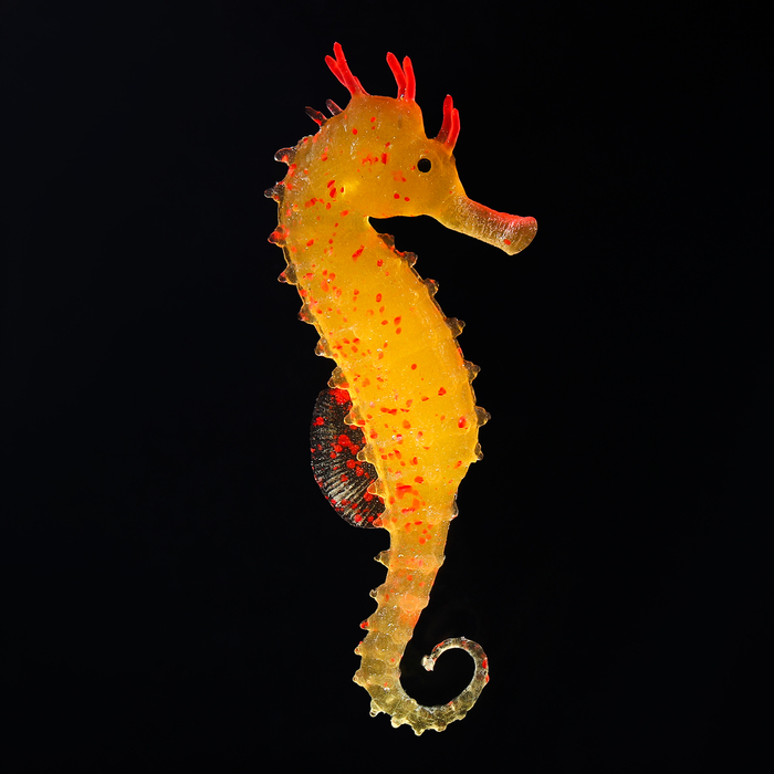 Декор для аквариума Морской конёк силиконовый с неоновым эффектом 2 х 4 х 10 см оранжев 10069 234₽