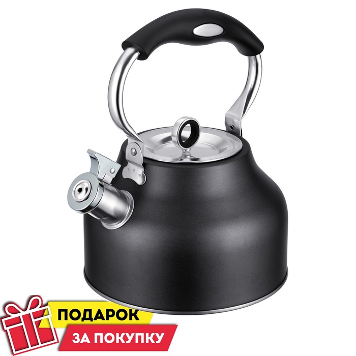 Чайник Regent inox Tea, со свистком, 2.5 л + подарок ситечко для заваривания чая