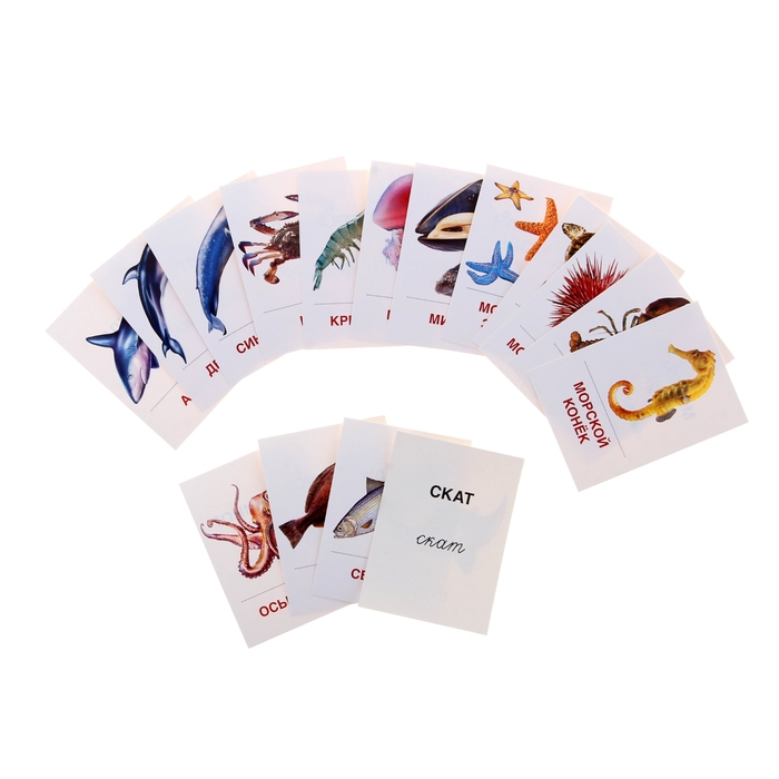 Карточки обучающие "Мир морей и океанов" 16 шт. 6,3 х 8,7 см.