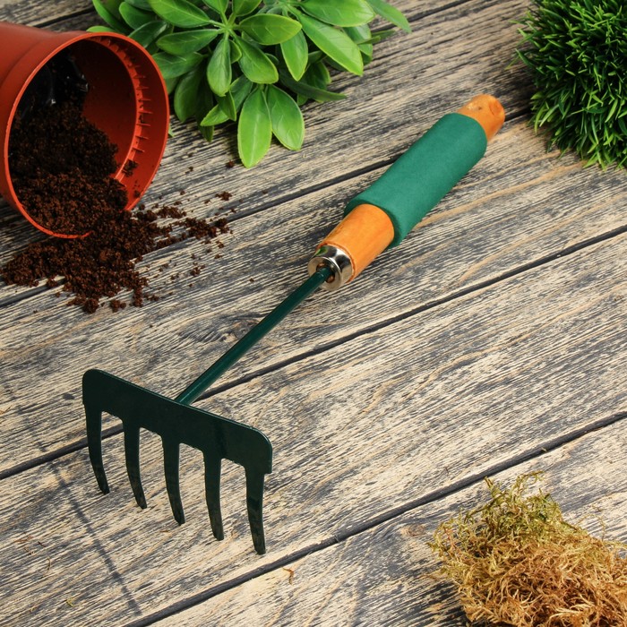 Грабли, длина 35 см, 5 зубцов, деревянная ручка с поролоном