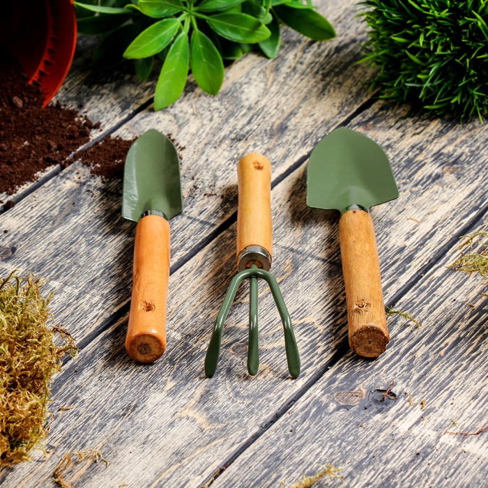 Набор садового инструмента, 3 предмета: совок узкий, совок широкий, рыхлитель, длина 20 см, деревянные ручки