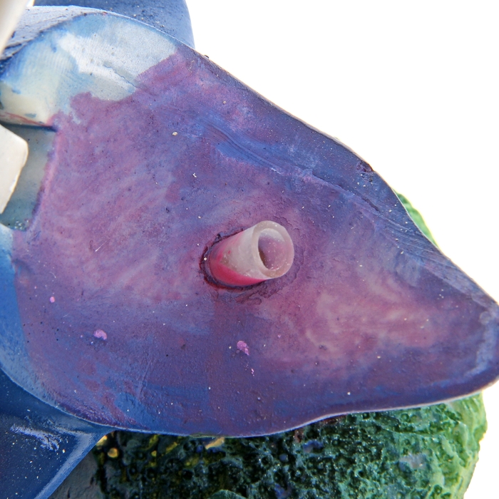 Распылитель с дельфином "No fishing", 13 х 11 х 10 см, полистоун