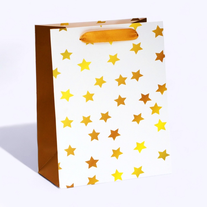 Пакет ламинированный «Звезды», MS 18 × 23 × 10 см