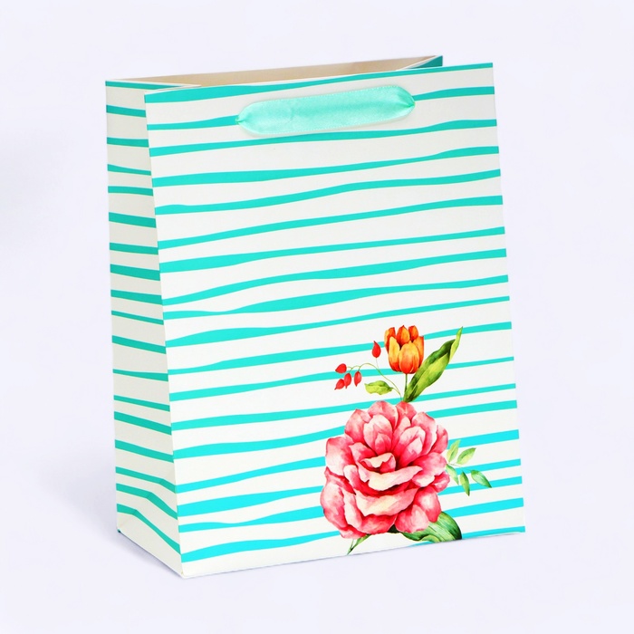 Пакет ламинированный Полоски MS 18 23 10 см 64₽