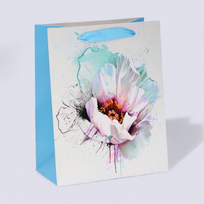 Пакет ламинированный Глубина MS 18 23 10 см 64₽