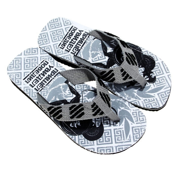 Сланцы "Пришел, увидел, победил", L/44-45