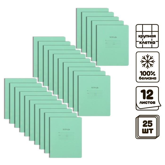 Комплект тетрадей из 25 штук 12 листов в крупную клетку КФОБ Зелёная обложка с таблицей умножения 60 гм2 блок офсет белизна 100 339₽