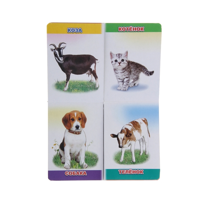 книжка-лото Мамы и малыши 10стр 10*14см