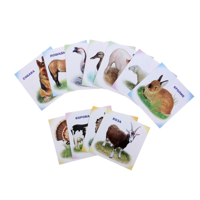 Обучающие карточки "Домашние животные", 12 штук