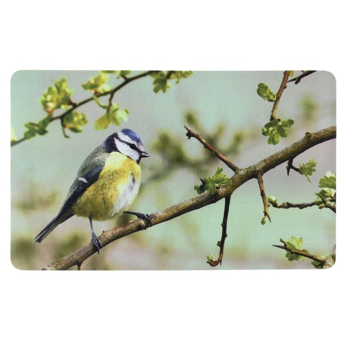 Коврик придверный "Синица"