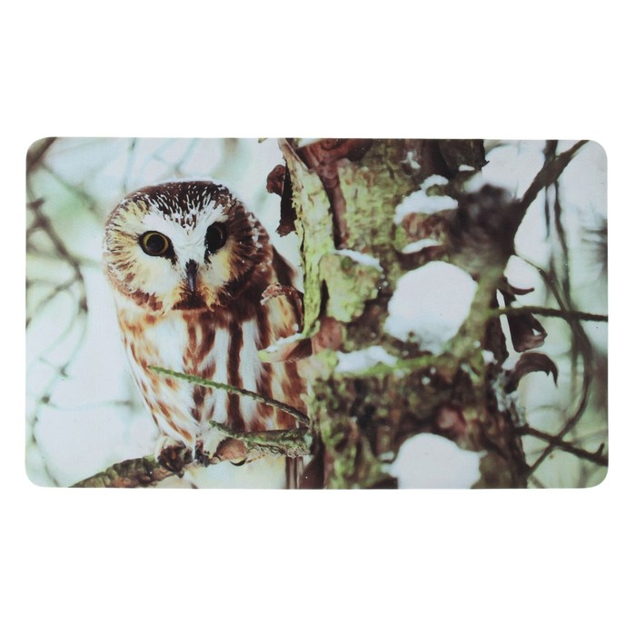 Коврик придверный "Сова"