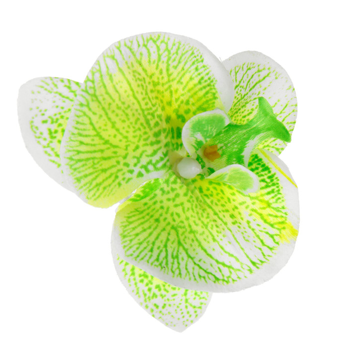 Зажим "Орхидея", цвет бело-зеленый