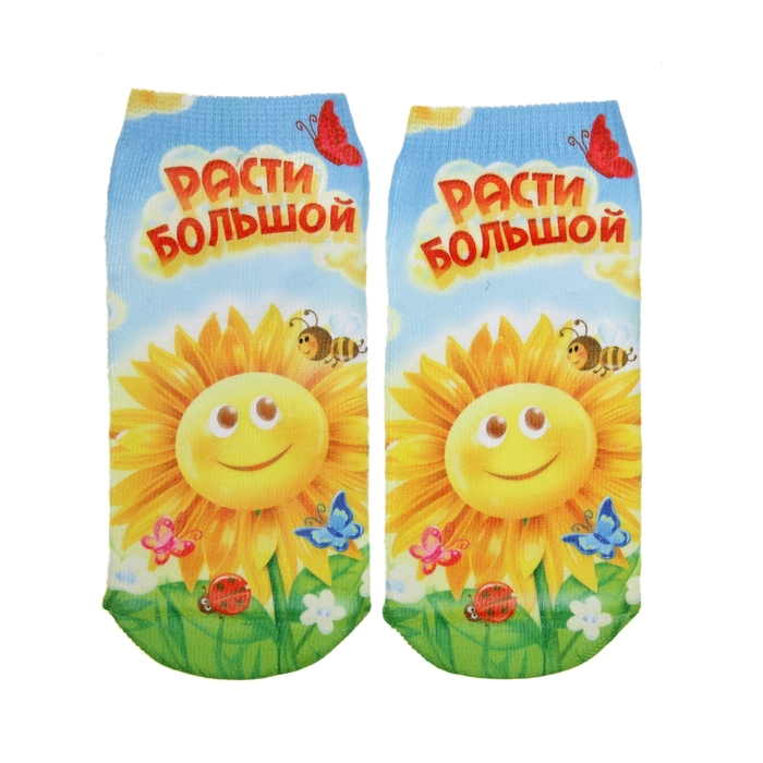 Носки Collorista "Расти большой", р-р 10-14 (1-3г.)