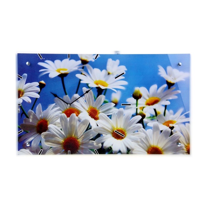 Часы настенные прямоугольные "Ромашки", 35х60 см