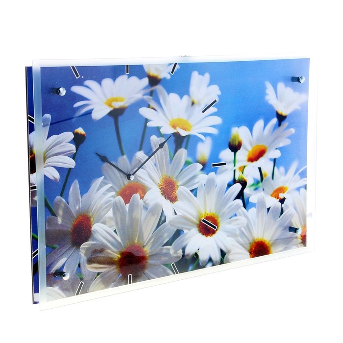 Часы настенные прямоугольные "Ромашки", 35х60 см