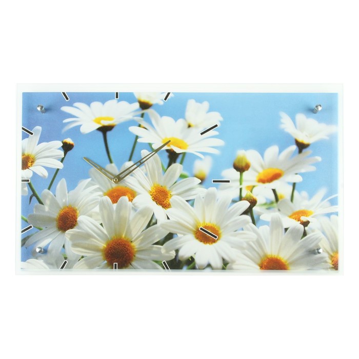 Часы настенные прямоугольные "Ромашки", 35х60 см
