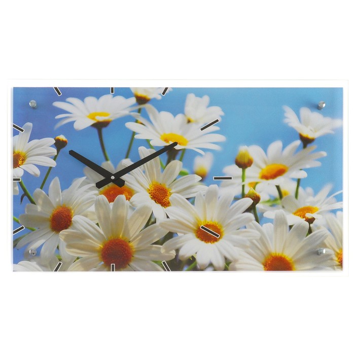 Часы настенные прямоугольные "Ромашки", 35х60 см