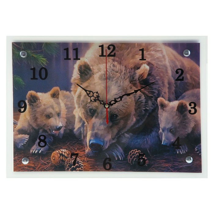 Часы настенные прямоугольные "Медведи", 25х35 см микс