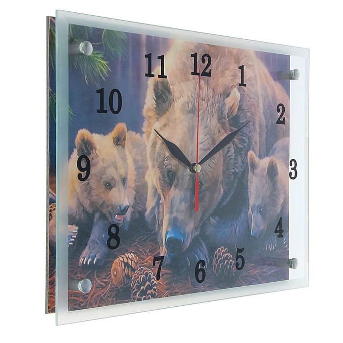 Часы настенные прямоугольные "Медведи", 25х35 см микс