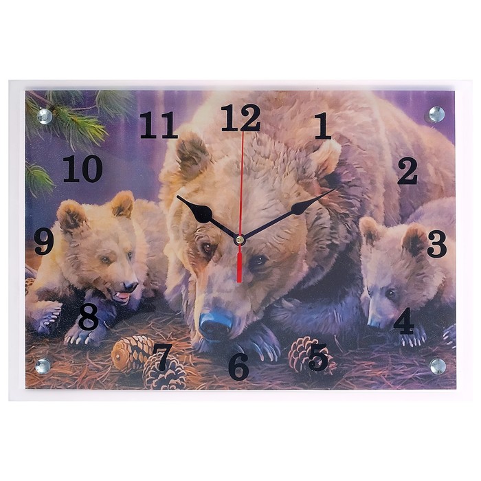 Часы настенные прямоугольные "Медведи", 25х35 см микс