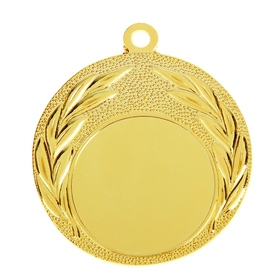 Медаль под нанесение, золото, d=4 см Ош