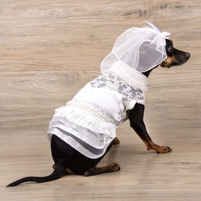 Платье "Свадебное" с фатой, размер S (длина спинки - 28 см, объем груди - 36 см)