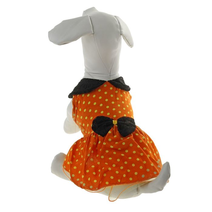 Платье "Горошек", размер L (длина спинки - 37 см, объем груди - 44 см)