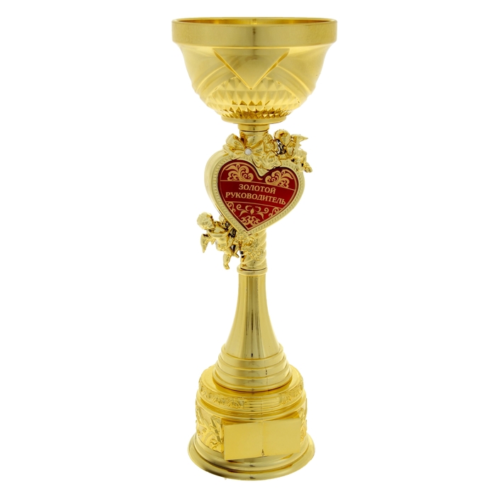 Кубок "Золотой руководитель"
