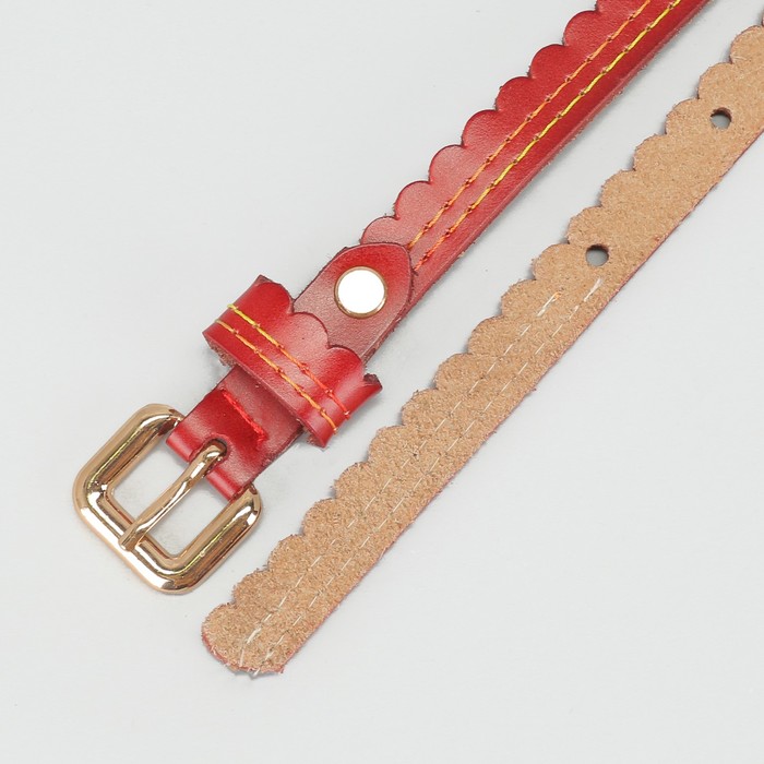 Ремень женский "Волна", винт, 2 строчки цветные, пряжка под золото, ширина 1,5см, цвет бордовый