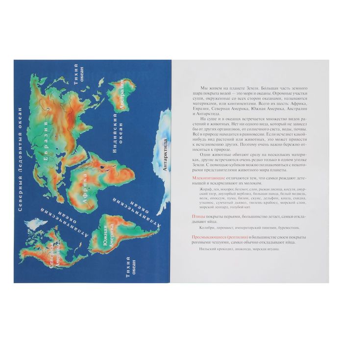 Набор кубиков "Животный мир Земли", 12 штук + книжка