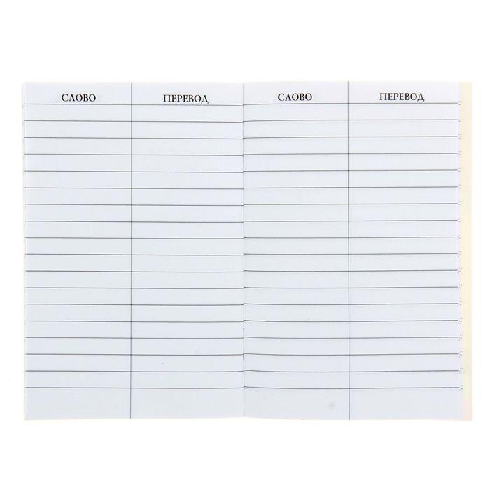 Тетрадь-словарь для записи иностранных слов 32 листа "Мини-словарь №2", 4 вида МИКС