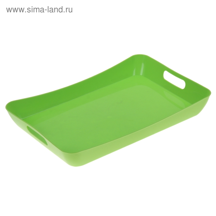 Поднос «Funny», 42,2×28,2×5,2 см, цвет зелёный