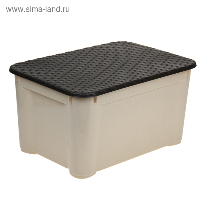 Ящик для хранения с крышкой econova «Ротанг», 55×29×39 см, цвет МИКС